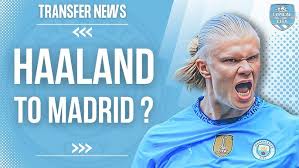 忽视了它们 忽视了它们